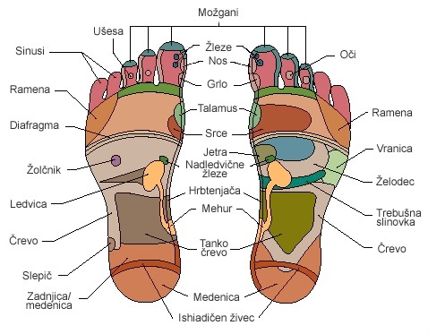 masaza stopal refleksologija